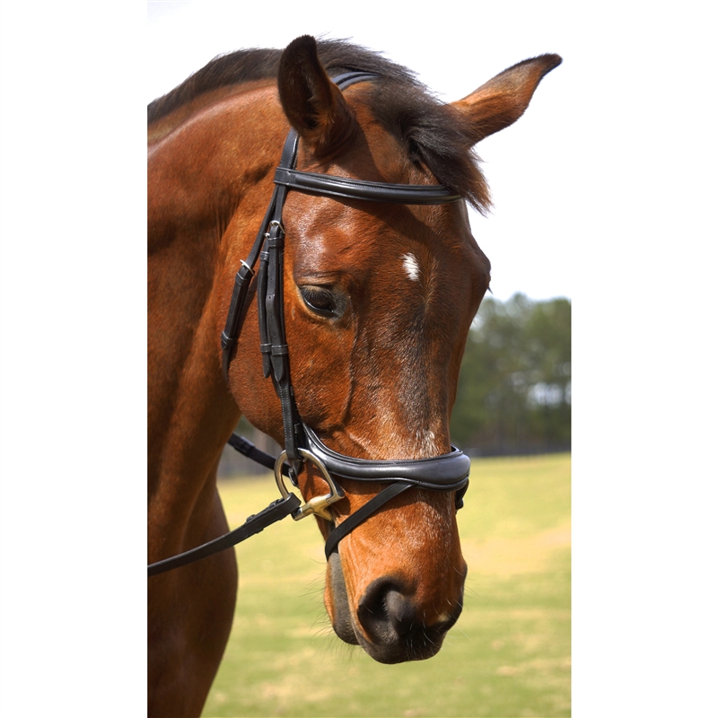 Leather Flash Bridle with Reins and Bit Brown Cob