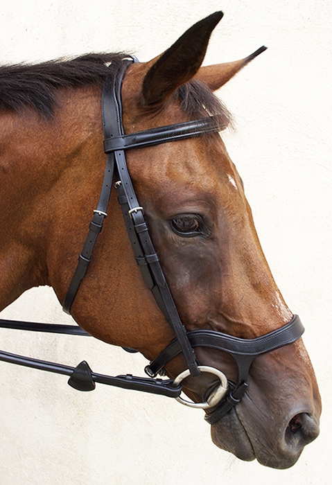 Anatomical Leather Show Bridle Comfort fully Padded with Anti Slip Reins 