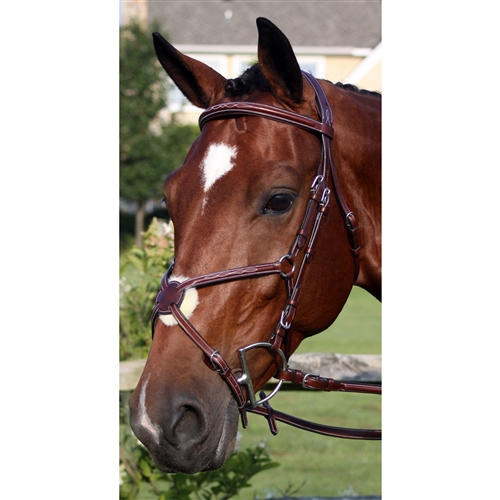 NEW ENGLISH LEATHER COMFORT Bridle CONVERTITORE Copricapo & GUANCE Pony Cob Full WB 